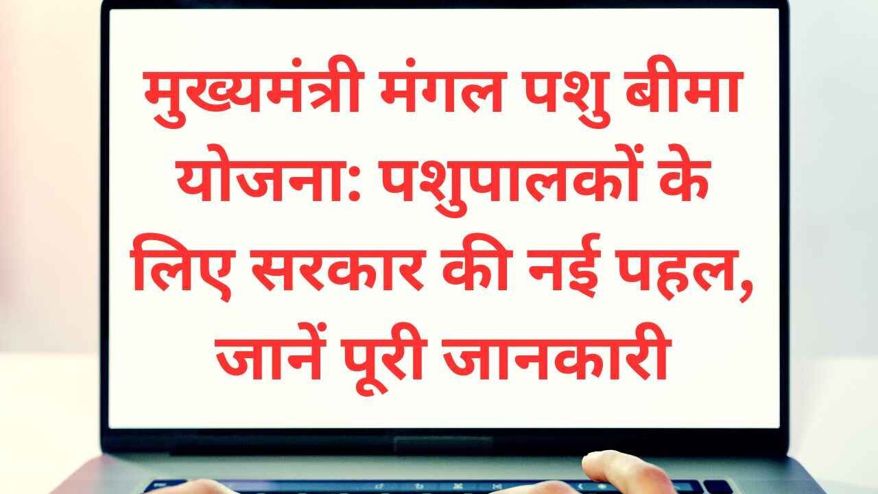 मुख्यमंत्री मंगल पशु बीमा योजना