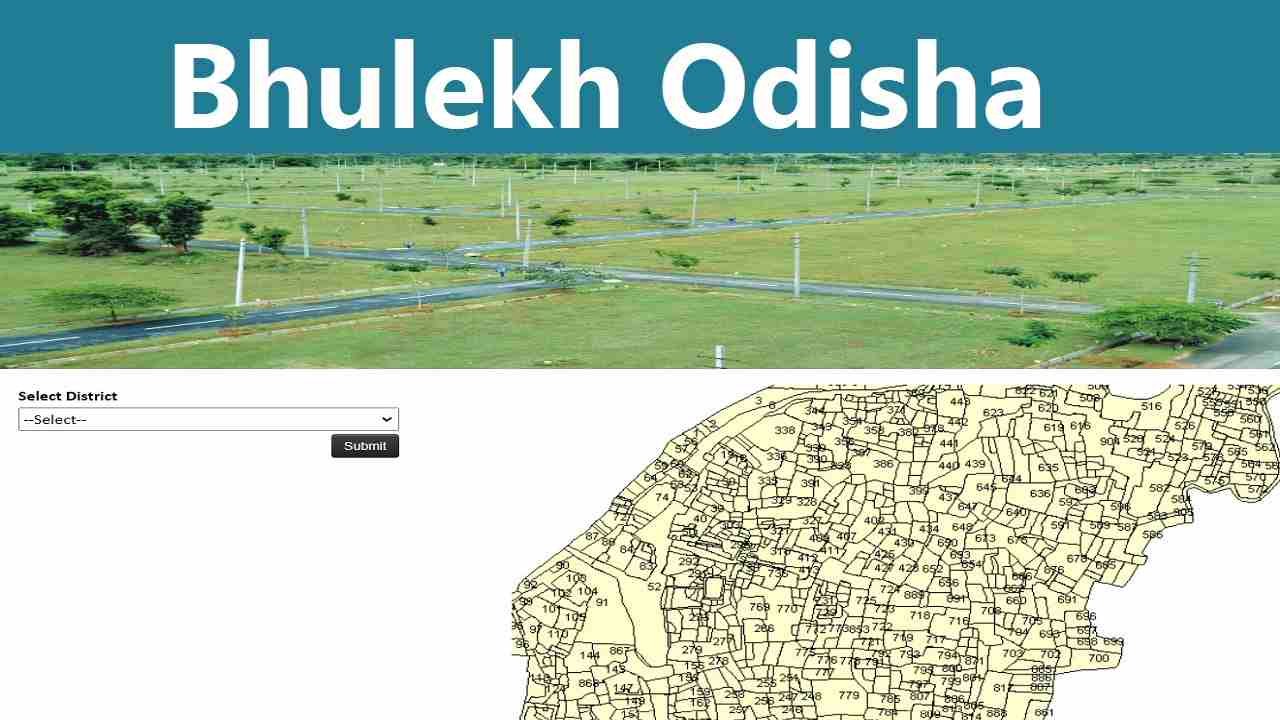 Bhulekh Odisha: Map www Bhulekh Odisha Nic In Records, Plot Details