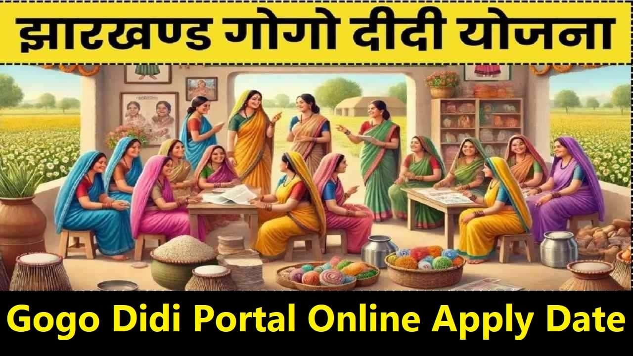 Gogo Didi Portal Online Apply Date