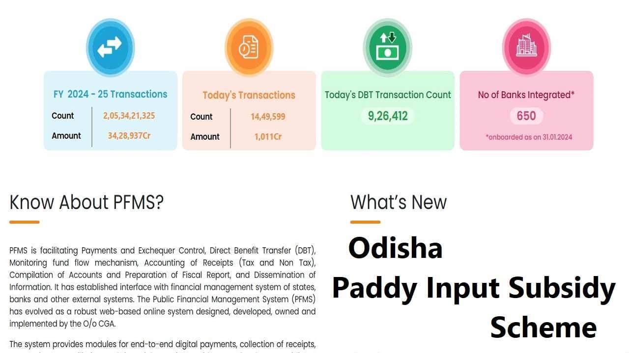 Odisha Paddy Input Subsidy Scheme pdf
